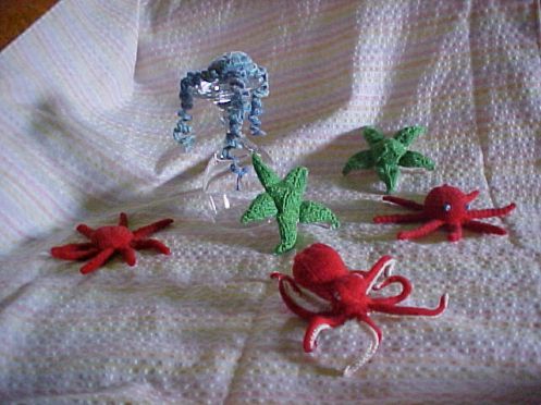 octopi, starfish, jellyfish
